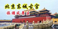 欧美大黑棒操不停中国北京-东城古宫旅游风景区